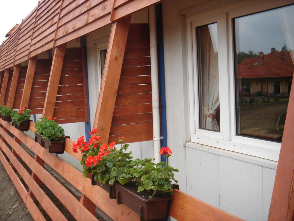 Pensjonat Cztery Pory Roku Tarnowskie Góry Exterior foto